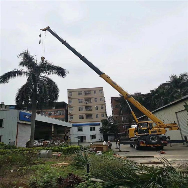 嘉禾汽车吊出租多少钱？全面解析与市场行情